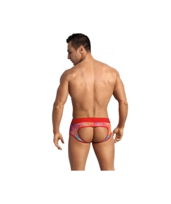 anais-men-falcon-jock-bikini-l (1)